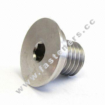 Stainless Steel Machined Screw,Machining Socket Screw,Machined Products