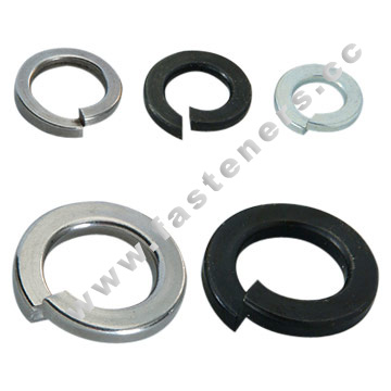 Gasket & Flat Washer