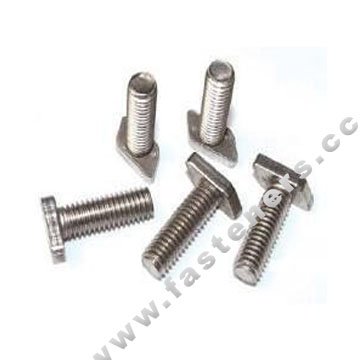 Stanless Steel T Bolt,Stainless Steel T Screw,Hammer Head Screw