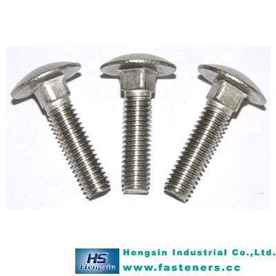Stainless Steel Carriage Bolt