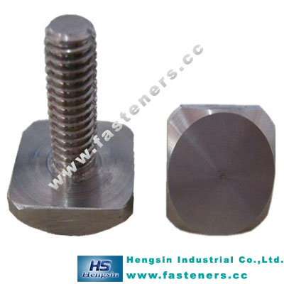 Stainless Steel Square Bolt