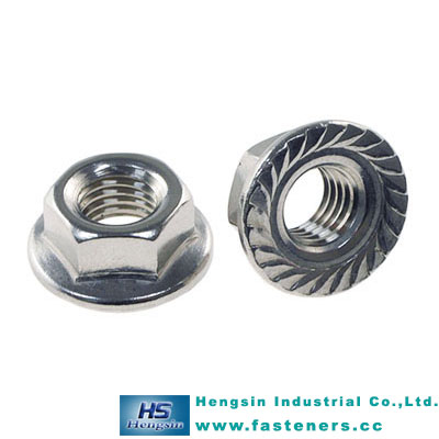 Stainless Steel Flange Nut