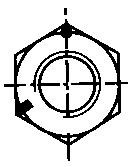 Nut Class 8